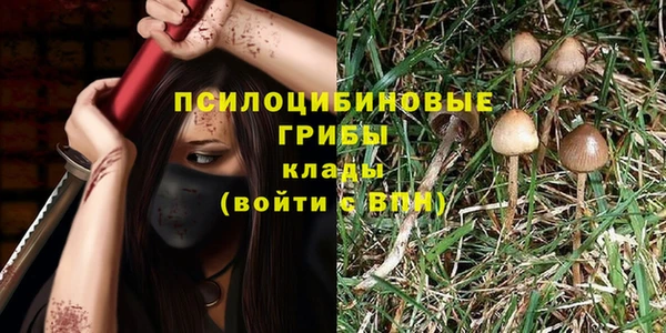 марки lsd Балабаново
